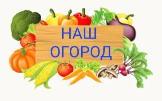 Наш огород Наш огород.